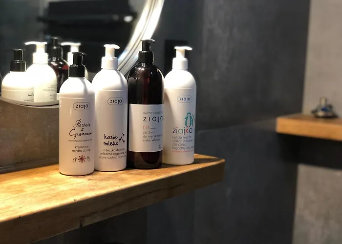 Apartament Gdanski Grod *